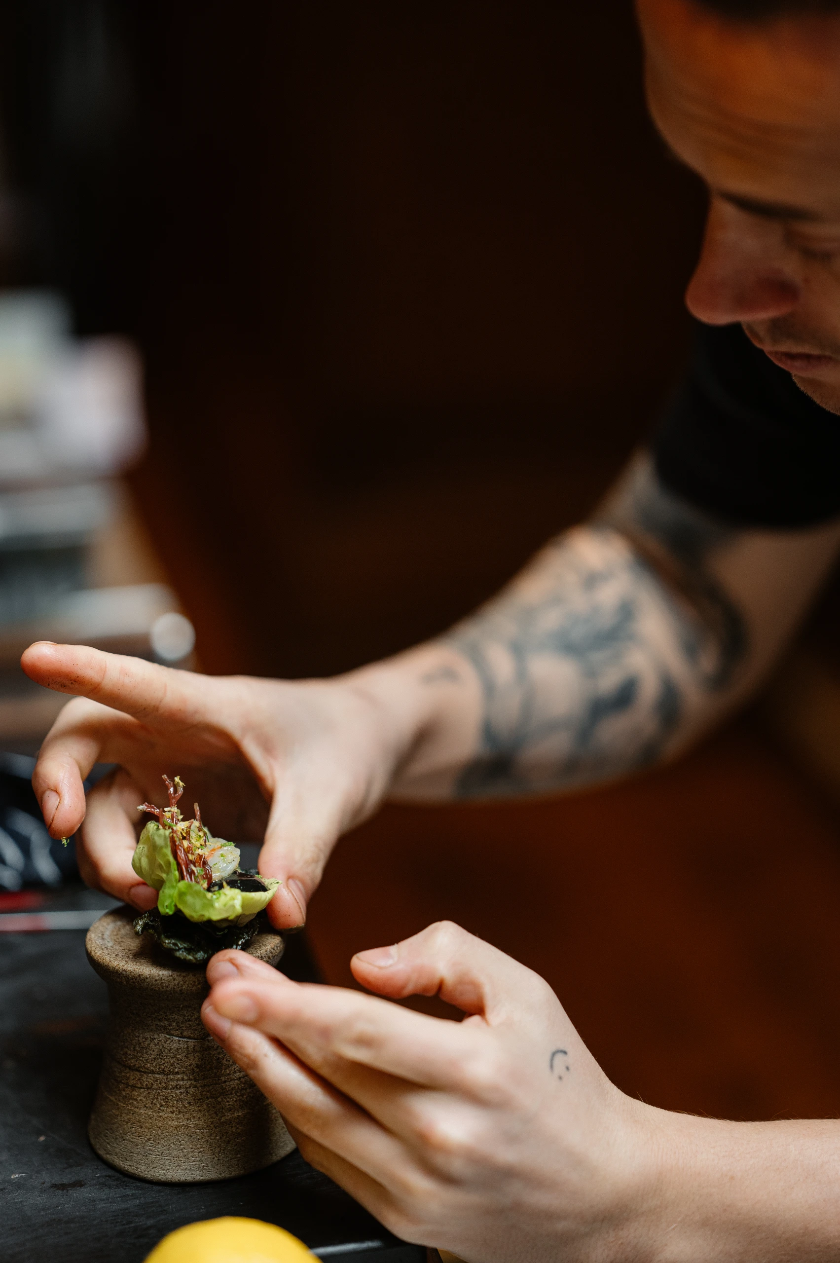 www guyhouben com haricot shoot4 4