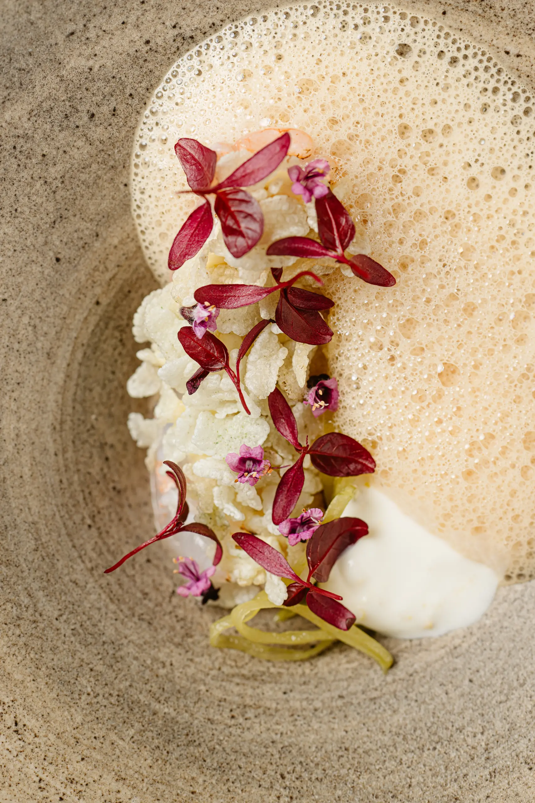 www guyhouben com haricot shoot4 44